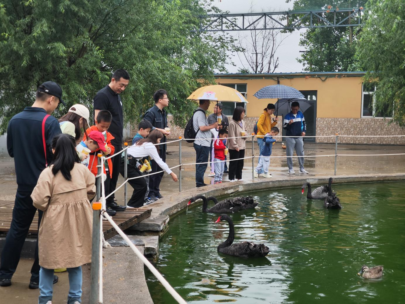 龙8头号玩家(国际集团)官方网站